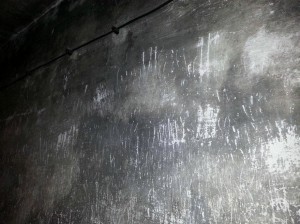 Inside an Auschwitz gas chamber